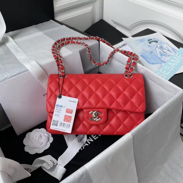 Chanel Small Classic Handbag Silver Hardware