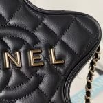 Chanel 24C AS4579 Star Bag Black Lambskin Light Gold Hardware AS4579 u9ed1u8272 product photo 5