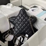 Chanel 24C AS4579 Star Bag Black Lambskin Light Gold Hardware AS4579 u9ed1u8272 product photo 2