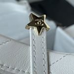 Chanel 24C AS4579 Star Bag White Lambskin Light Gold Hardware AS4579 u767du8272 product photo 6