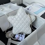 Chanel 24C AS4579 Star Bag White Lambskin Light Gold Hardware AS4579 u767du8272 product photo 2