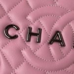 Chanel 24C AS4579 Star Bag Pink And Black Satin Black Metal Hardware AS4579 u7c89u8272 product photo 3
