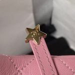 Chanel 24C AS4579 Star Bag Pink Lambskin Light Gold Hardware AS4579 u7c89 product photo 6