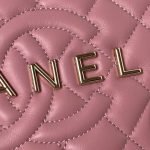 Chanel 24C AS4579 Star Bag Pink Lambskin Light Gold Hardware AS4579 u7c89 product photo 3