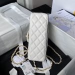 Chanel 24A AS4924 Mini Flap Bag With Top Handle White AS4924 u767du8272 product photo 6