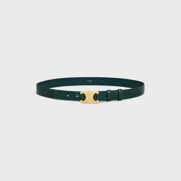 Medium Triomphe Belt In Lizard 45AK94AMF.31AN product photo 1