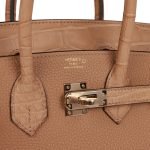 Hermes Birkin 25 Chai Matte Alligator And Togo Touch Permabrass Hardware 47654 product photo 7