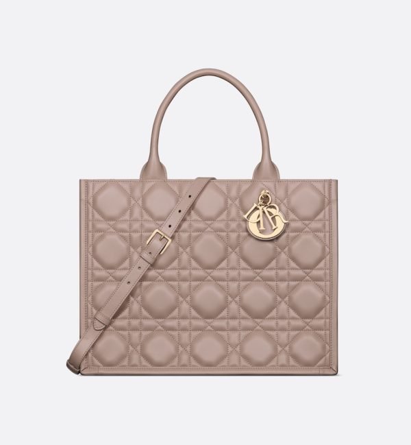 Dior Medium Dior Book Tote HandBags