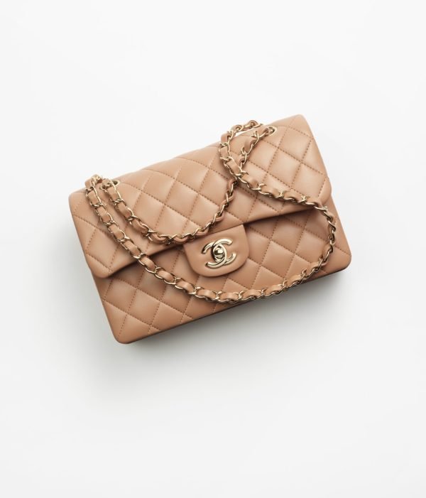 Chanel Small Classic Handbag A01113 Y04059 NZG77 product photo 1