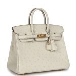 Hermes Birkin 25 Beton Ostrich Gold Hardware 68980 product photo 2