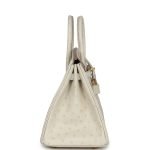 Hermes Birkin 25 Beton Ostrich Gold Hardware 68980 product photo 3