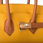 Hermes Special Order (hss) Birkin 25 Jaune Ambre And Gold Togo Permabrass Hardware 69036 product photo 6
