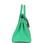 Hermes Birkin 25 Vert Comics Togo Palladium Hardware 70981 product photo 3