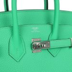 Hermes Birkin 25 Vert Comics Togo Palladium Hardware 70981 product photo 6
