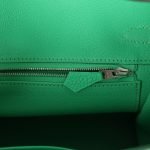 Hermes Birkin 25 Vert Comics Togo Palladium Hardware 70981 product photo 8