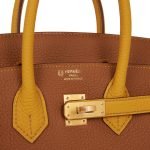 Hermes Special Order (hss) Birkin 25 Gold And Jaune Ambre Togo Brushed Gold Hardware 71162 product photo 6