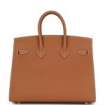 Hermes Birkin Sellier 25 Gold Epsom Gold Hardware 71686 product photo 4