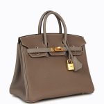Hermes Special Order (hss) Birkin 25 Etoupe And Etain Togo Brushed Gold Hardware 71959 product photo 2