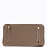 Hermes Special Order (hss) Birkin 25 Etoupe And Etain Togo Brushed Gold Hardware 71959 product photo 5