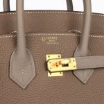 Hermes Special Order (hss) Birkin 25 Etoupe And Etain Togo Brushed Gold Hardware 71959 product photo 6