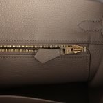 Hermes Special Order (hss) Birkin 25 Etoupe And Etain Togo Brushed Gold Hardware 71959 product photo 8