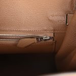 Hermes Birkin 25 Alezan Togo Palladium Hardware 81731 product photo 8