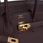 Hermes Birkin 25 Rouge Sellier Togo Gold Hardware 81761 product photo 6