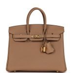 Hermes Birkin 25 Chai Togo Gold Hardware 81763 product photo 1