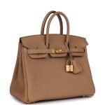 Hermes Birkin 25 Chai Togo Gold Hardware 81763 product photo 2