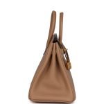 Hermes Birkin 25 Chai Togo Gold Hardware 81763 product photo 3