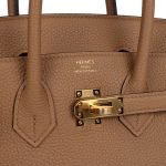 Hermes Birkin 25 Chai Togo Gold Hardware 81763 product photo 6