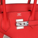 Hermes Birkin 30 Rouge De Coeur Togo Palladium Hardware 81765 product photo 6