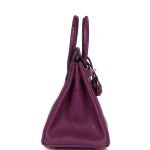 Hermes Birkin 25 Anemone Ostrich Palladium Hardware 81782 product photo 3
