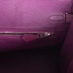 Hermes Birkin 25 Anemone Ostrich Palladium Hardware 81782 product photo 8