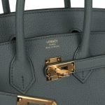 Hermes Birkin 25 Vert Amande Togo Gold Hardware 81916 product photo 6