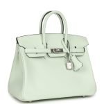 Hermes Birkin 25 Vert Fizz Swift Palladium Hardware 82816 product photo 2