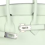 Hermes Birkin 25 Vert Fizz Swift Palladium Hardware 82816 product photo 6