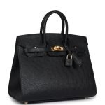 Hermes Birkin Sellier 25 Black Ostrich Gold Hardware 82904 product photo 2