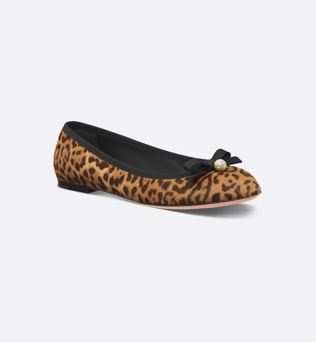 Dior Ballet Flat KCB929PNG_S37U product photo 1