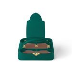 Louis Vuitton Capucines BB Green back view