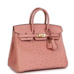 Hermes Birkin 25 Terre Cuite Ostrich Gold Hardware 151761 product photo 2