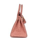 Hermes Birkin 25 Terre Cuite Ostrich Gold Hardware 151761 product photo 3