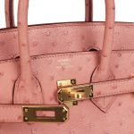 Hermes Birkin 25 Terre Cuite Ostrich Gold Hardware 151761 product photo 6