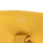 Hermes Evelyne Iii PM Sun Clemence Palladium Hardware 75274 product photo 7