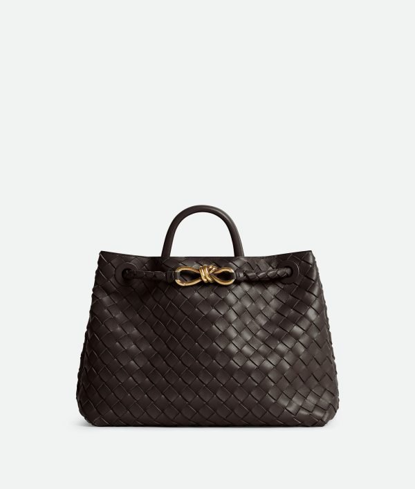 Bottega Veneta Medium Andiamo