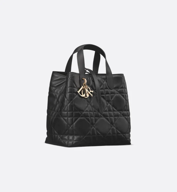 Dior Medium Dior Toujours Vertical Tote Bag