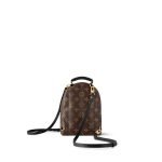 Louis Vuitton Palm Springs Mini M44873 product photo 4