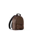 Louis Vuitton Palm Springs MM M44874 product photo 2